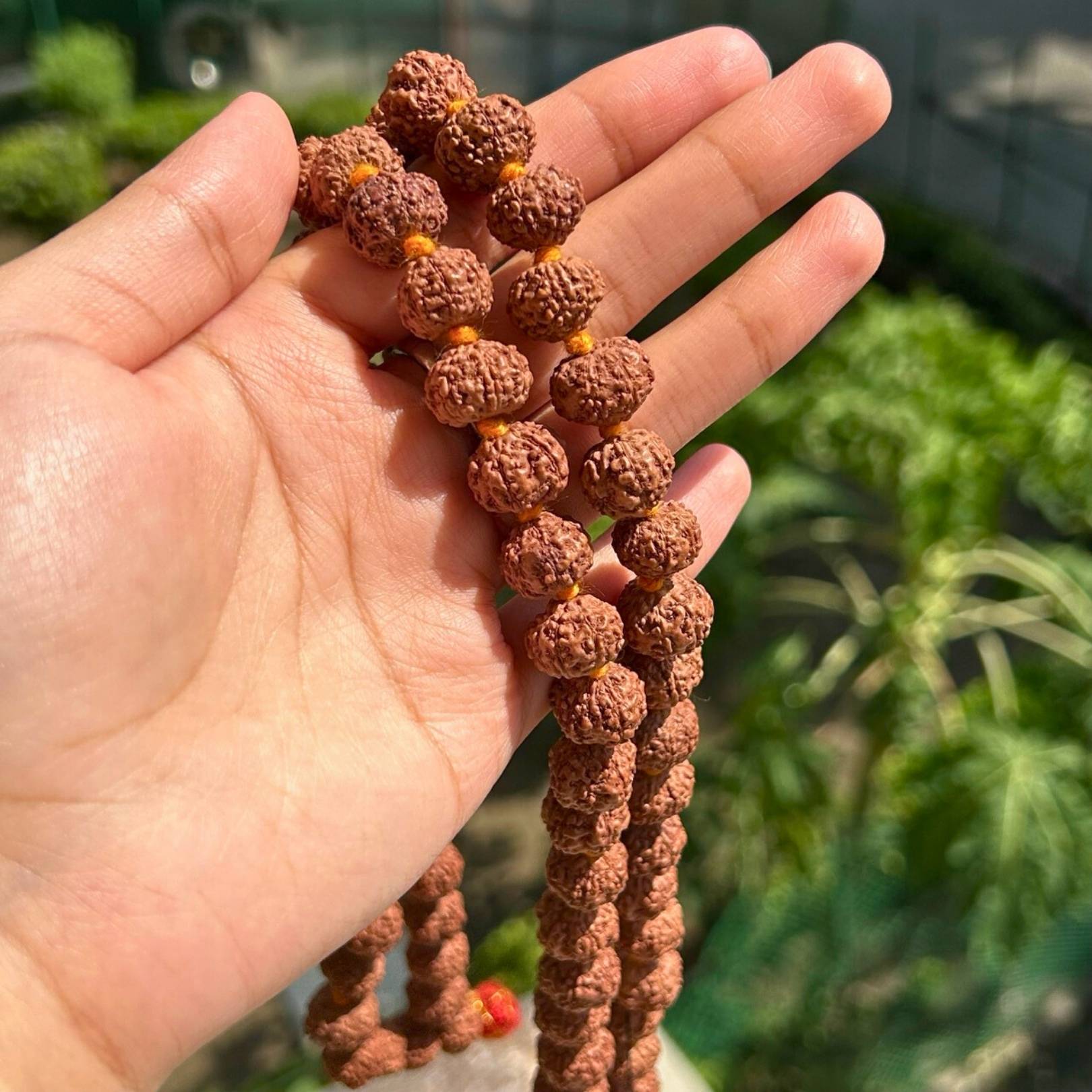 7 Mukhi Rudraksha Mala - In hand
