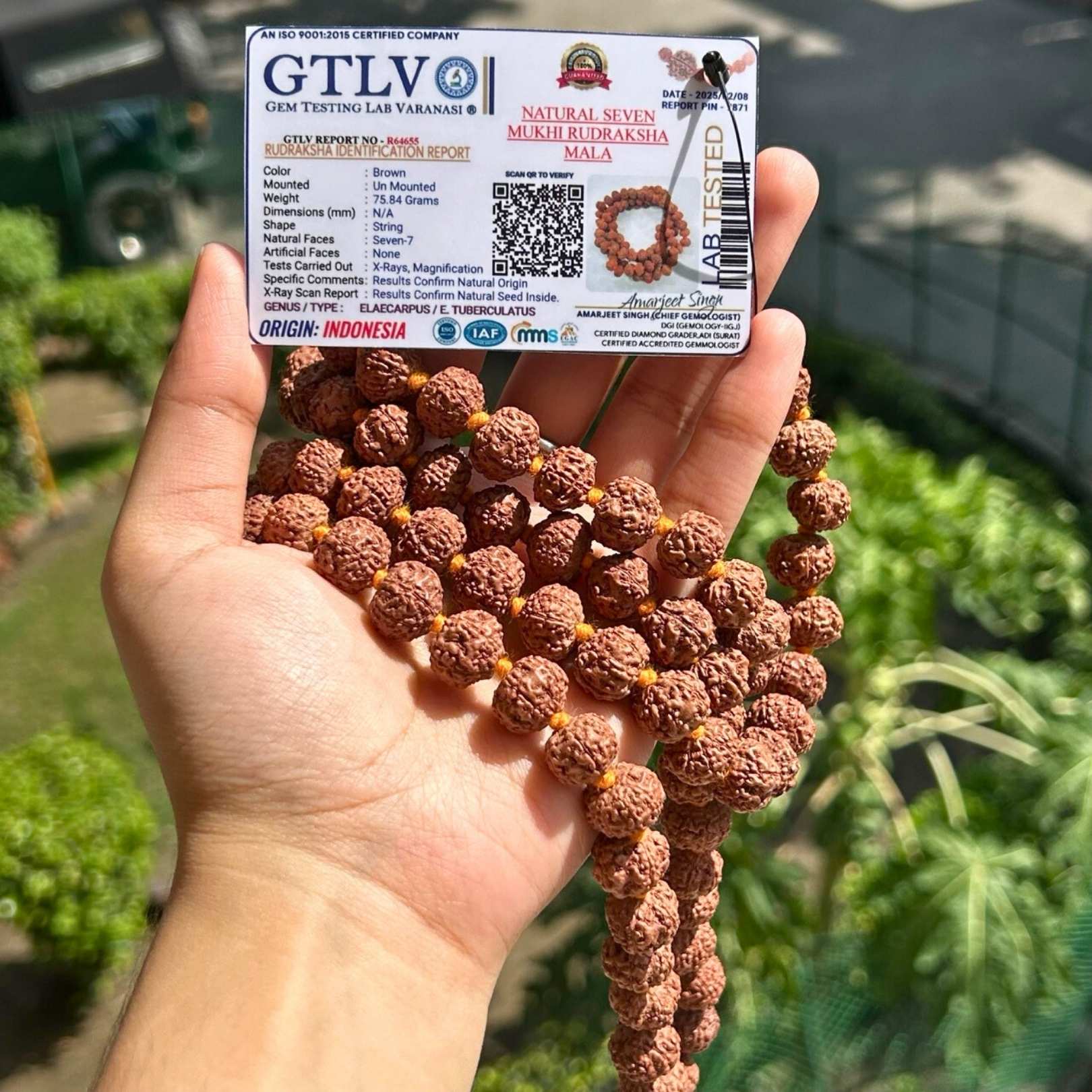 7 Mukhi Rudraksha Mala - with certificate