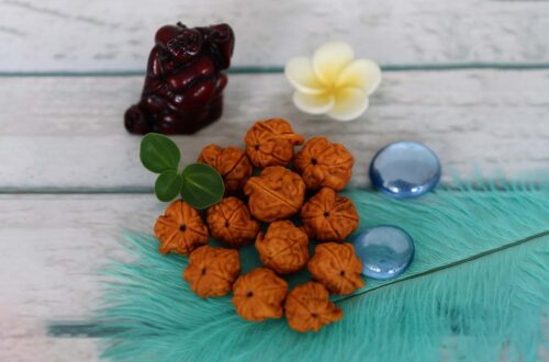 How Ganesha Rudraksha Brings Success, Wisdom, and Spiritual Growth | Kailasha Rudraksh