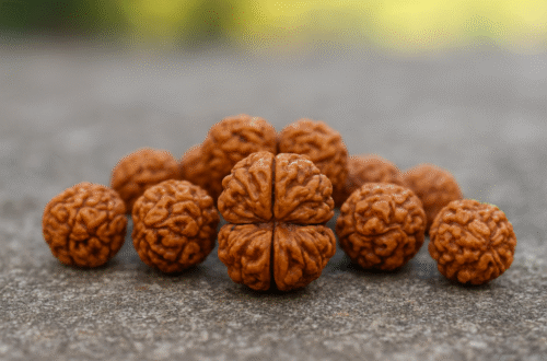 Why Gauri Shankar Rudraksha is the Key to Divine Connection | Kailasha Rudraksh