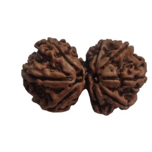 Gaurishankar Rudraksha