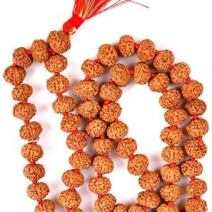 7 Mukhi Rudraksha Mala